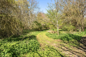 Photo 9- click for photo gallery